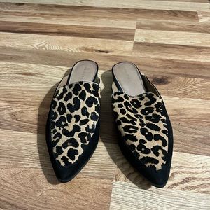 Cheetah Mules